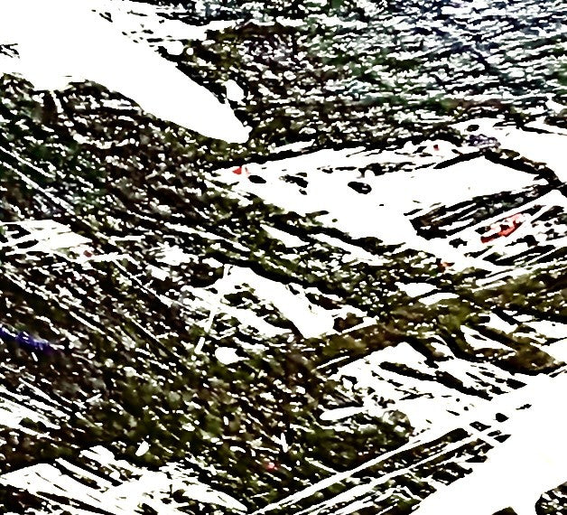 Swimming With Sharks (Original)